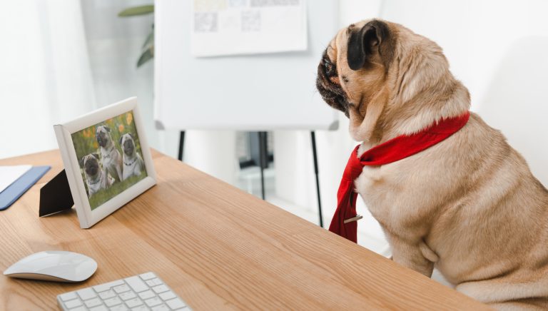 Pour vendre sur Facebook, il faut divertir!