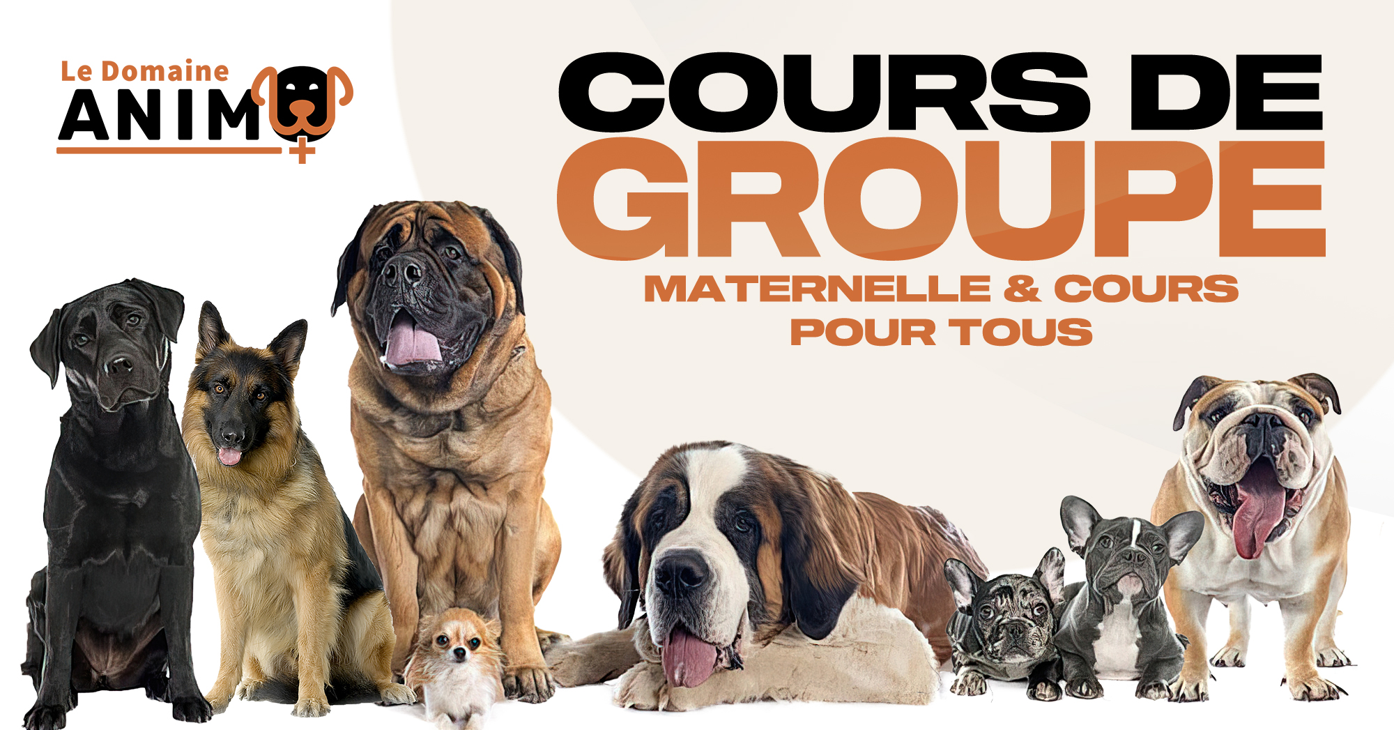 DomaineAnimo+05 février 2024 Cours de groupe - Maternelle & cours pour tous-2